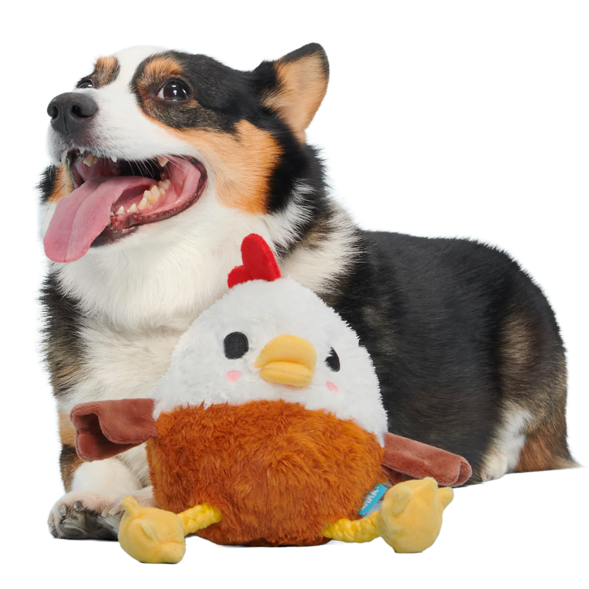 Thumbnail 4