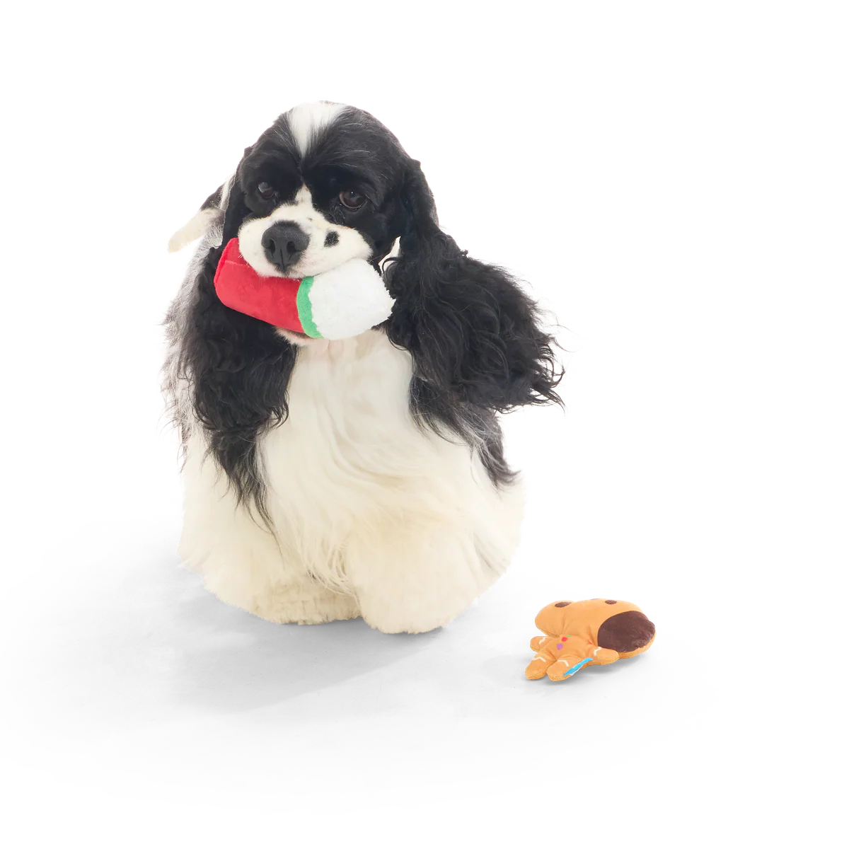 Thumbnail 4