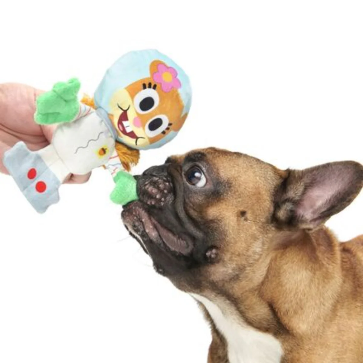 Thumbnail 3