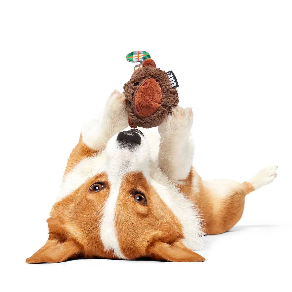 Thumbnail 7