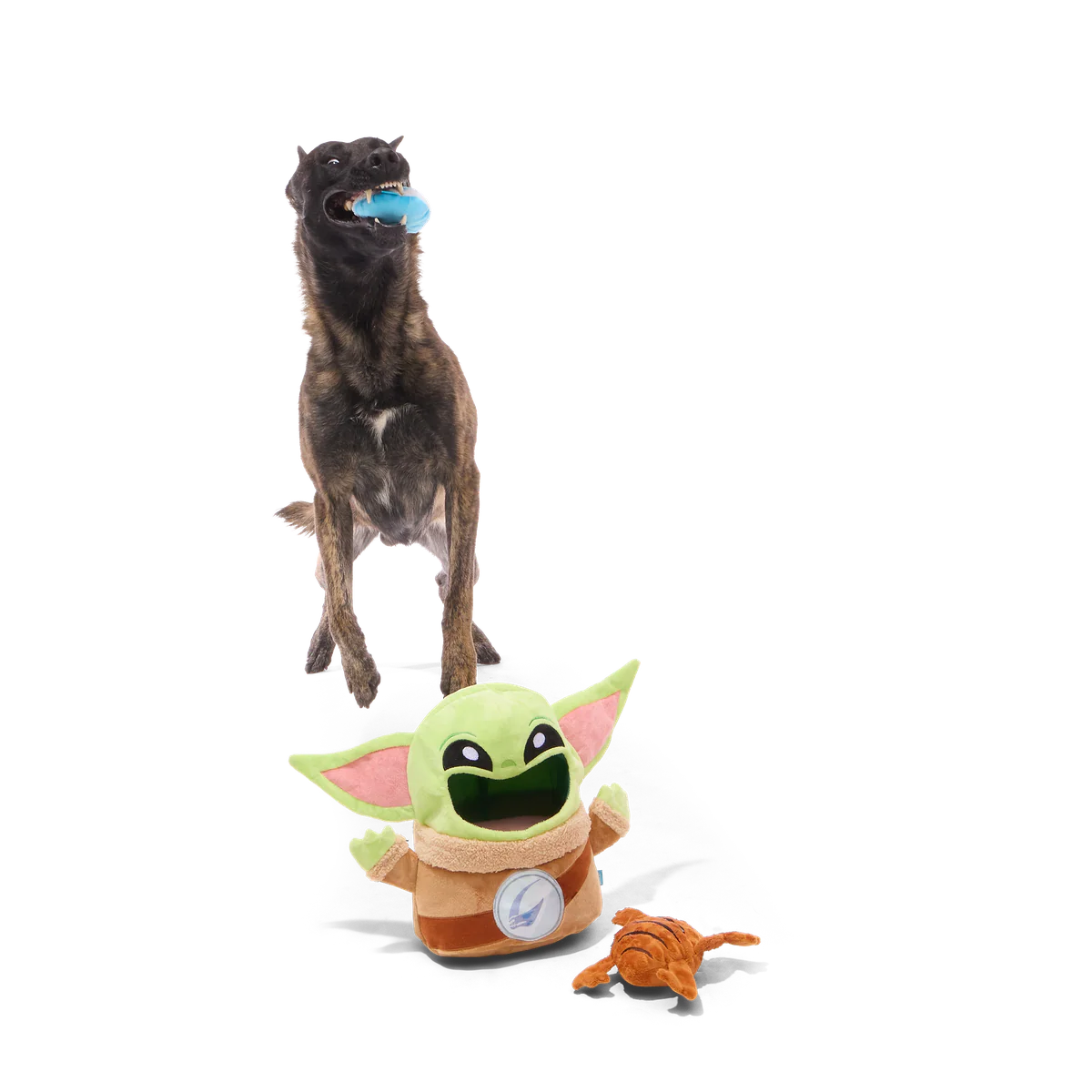 Thumbnail 4