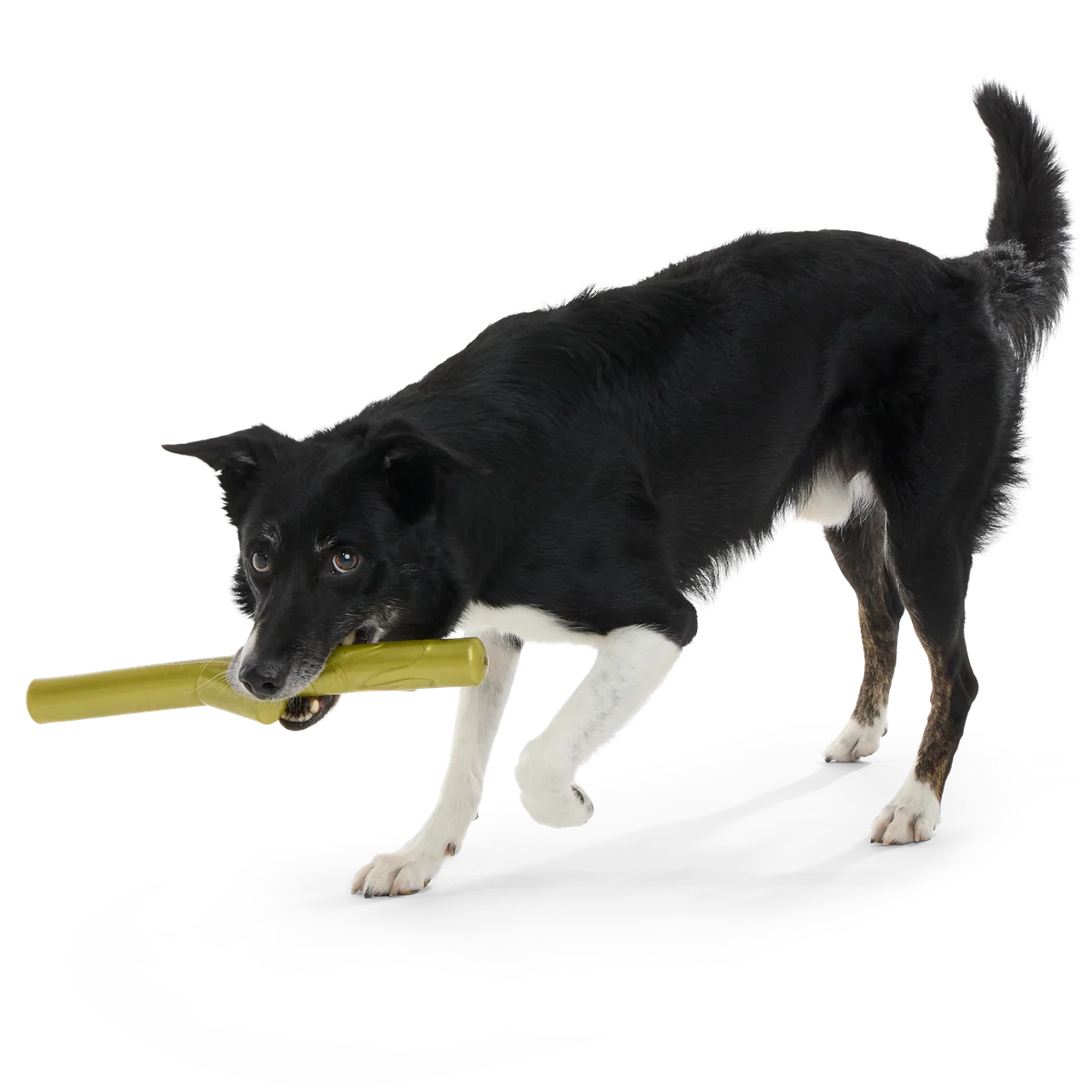 Thumbnail 7