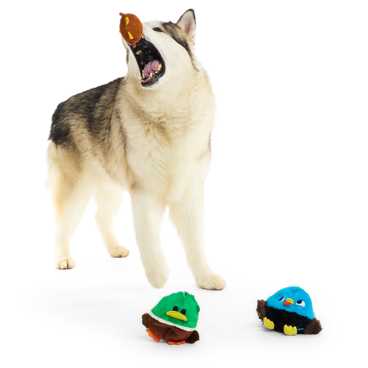 Thumbnail 8